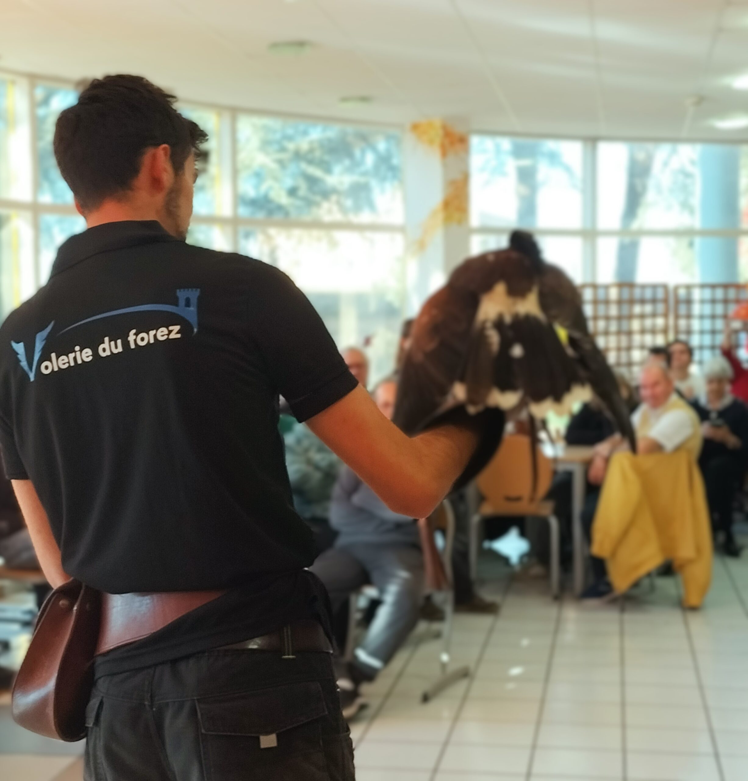 Un jeune dresseur d'oiseaux fait face aux invités tenant un rapace sur son poignet.